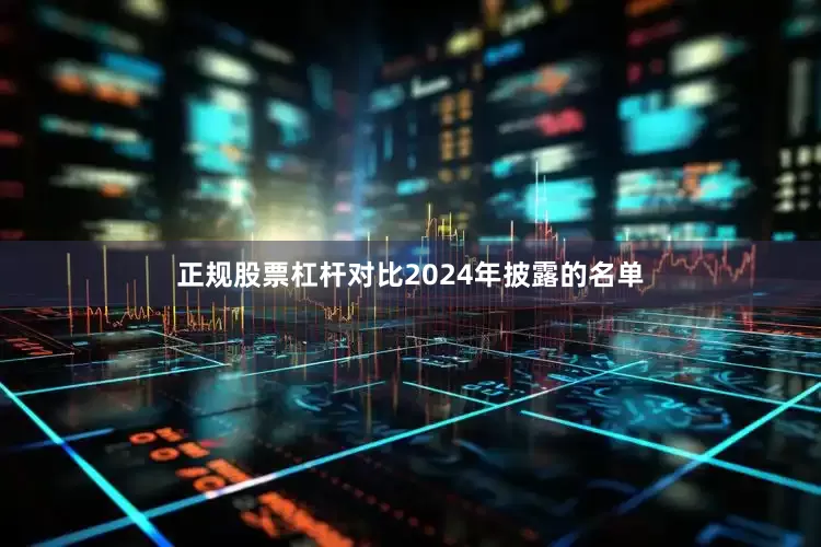 正规股票杠杆对比2024年披露的名单
