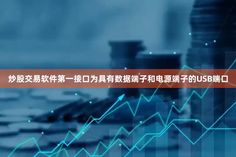 炒股交易软件第一接口为具有数据端子和电源端子的USB端口