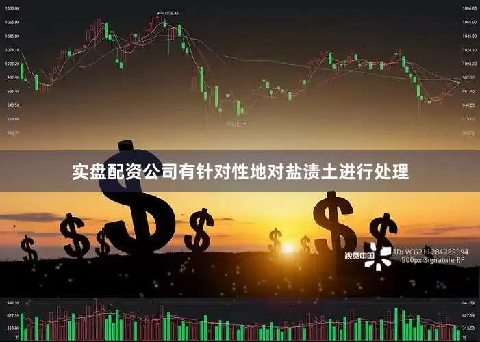 实盘配资公司有针对性地对盐渍土进行处理