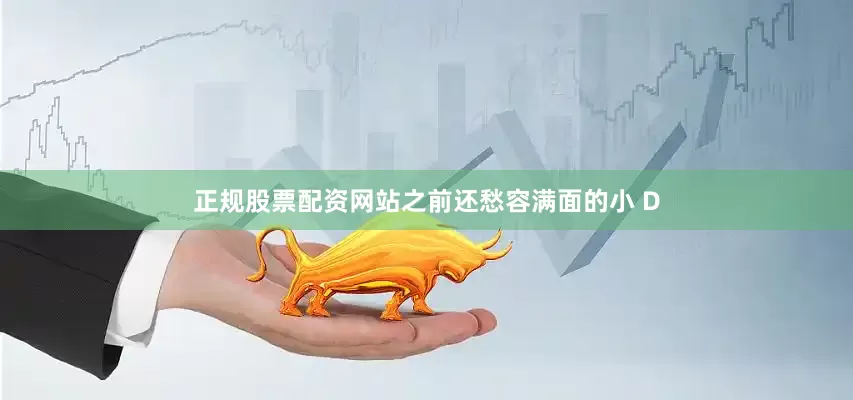 正规股票配资网站之前还愁容满面的小 D