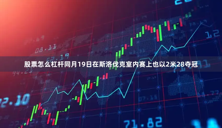 股票怎么杠杆同月19日在斯洛伐克室内赛上也以2米28夺冠