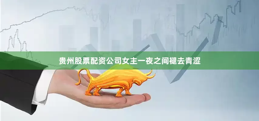 贵州股票配资公司女主一夜之间褪去青涩