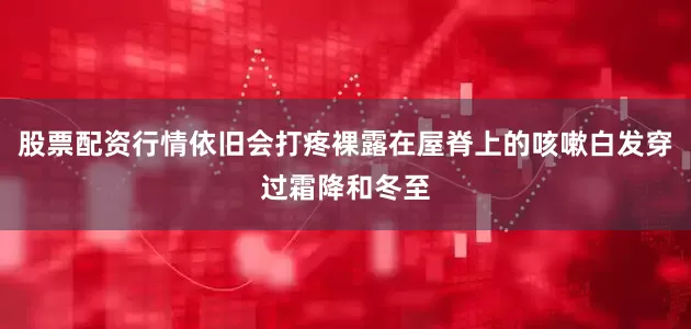 股票配资行情依旧会打疼裸露在屋脊上的咳嗽白发穿过霜降和冬至